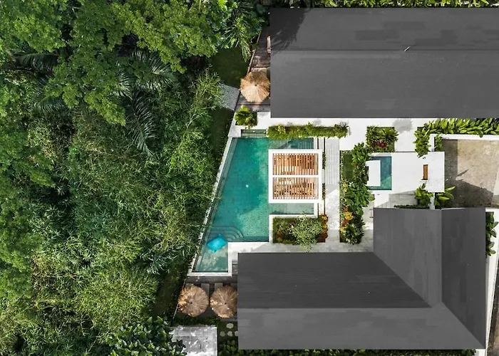ヴィラ Jungle - 5br Luxury With Private Gym Enjoy Forest